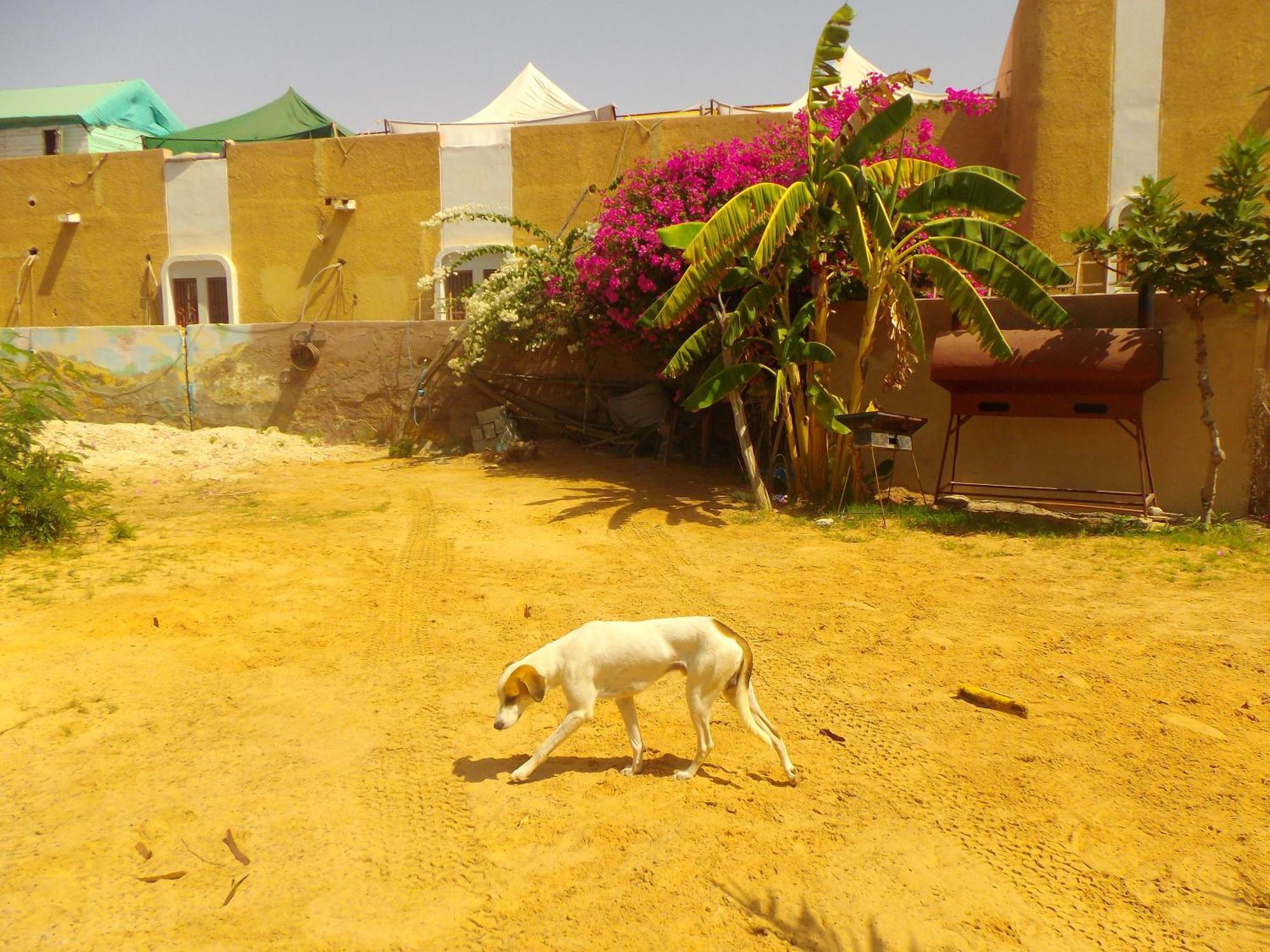 Auberge Triskell Nouakchott Exterior foto